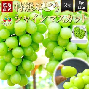 マイハート 希少品種 高級ぶどう 約1.2〜1.5kg 2房 山梨県産 非常に
