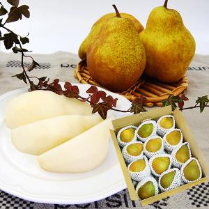 特選洋梨シルバーベル約5kg(7玉〜12玉)