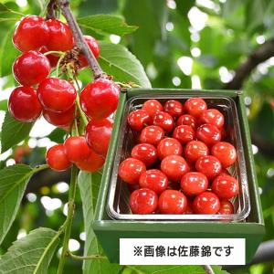めるぽぽ⭐︎　訳あり紅ぷり8kg×２箱ぐるりん 公式サイト・薬院本店限定/2つ折り財布[sokunou] ｜革鞄・革小物の