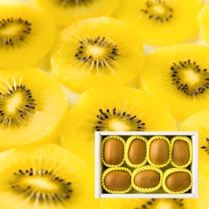 ゼスプリ 特大グリーンキウイフルーツ秀品 ニュージーランド産 送料