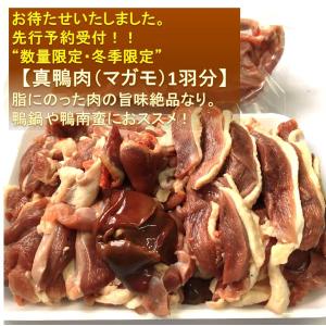 ※ご好評につき売切れとなりました。　真鴨肉　1羽分　約550g　天然鴨の旨み　マガモ　鴨肉　かも肉