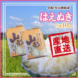 山形県産 はえぬき 令和7年産 白米 5kg×...の詳細画像1