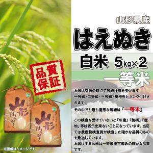 山形県産 はえぬき 令和7年産 白米 5kg×...の詳細画像2