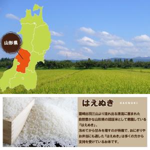 山形県産 はえぬき 令和7年産 白米 5kg×...の詳細画像4