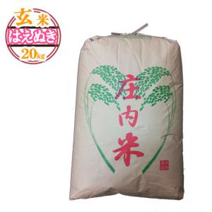 令和5年産 新米 予約 受付中 送料無料 山形県産 はえぬき 玄米 20キロ げんまい 20kg 二十キロ 安全で確かなものを食卓へ｜yamagatahiroba