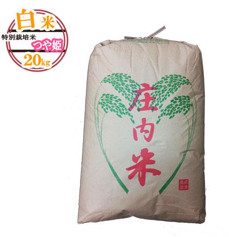 令和5年産 送料無料 山形県産 特別栽培米 つや姫 白米 20キロ はくまい 20kg 二十キロ 安...