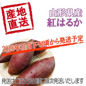 さつまいも 紅はるか 山形県 庄内産 不揃い ...の詳細画像2