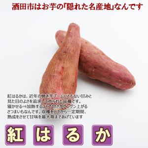 さつまいも 紅はるか 山形県 庄内産 不揃い ...の詳細画像3