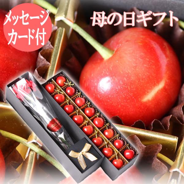 遅れてごめんね 母の日 ギフト さくらんぼ 送料無料 Ｌ玉 佐藤錦 化粧箱入 生花 カーネーション ...