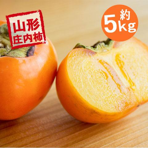 庄内柿 35玉 前後 約 5kg 山形県産 しょうないがき 送料無料