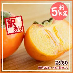 訳あり 庄内柿 約5kg 山形県産 しょうない...の詳細画像1