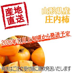 訳あり 庄内柿 約5kg 山形県産 しょうない...の詳細画像2