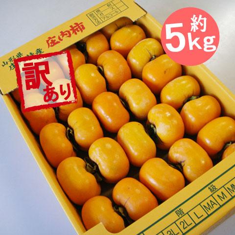 庄内柿 焼酎 脱渋 訳あり 約5kg 25玉〜40玉 前後 送料無料 山形県産 しょうないがき