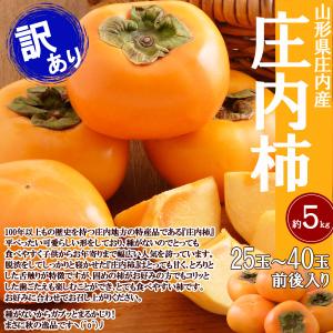 庄内柿 焼酎 脱渋 訳あり 約5kg 25玉〜...の詳細画像5