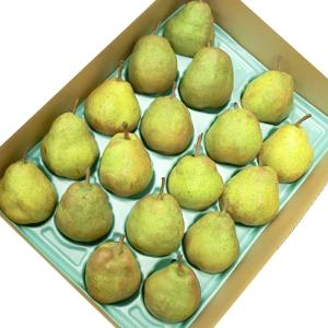 山形県産 ラフランス ラ・フランス 2L サイズ 以上 約5kg