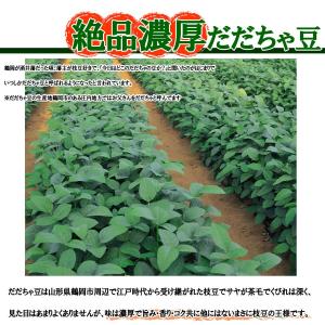 冷凍 送料無料 鶴岡産 だだちゃ豆 むき豆 1...の詳細画像3