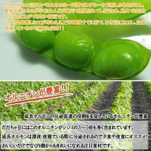 冷凍 送料無料 鶴岡産 だだちゃ豆 むき豆 1...の詳細画像4