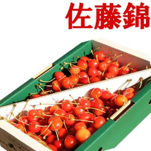 ★山形県産 さくらんぼ 佐藤錦 予約 送料無料 秀品 Ｍ・Ｌ混合バラ詰め た〜っぷり 1kg