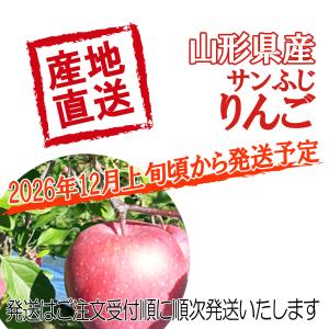 訳あり サンふじ りんご 約10kg 送料無料...の詳細画像2