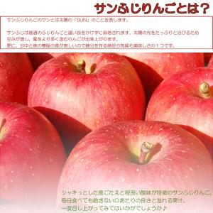 訳あり サンふじ りんご 約10kg 送料無料...の詳細画像4