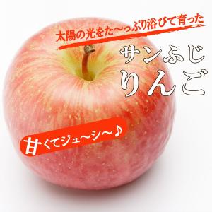 訳あり サンふじ りんご 約10kg 送料無料...の詳細画像5