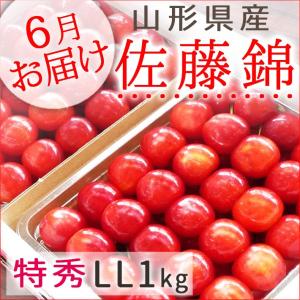 フルーツ さくらんぼ 佐藤錦 山形県産 特秀LL1kg詰 500g×2P 送料無料｜yamagatamaru