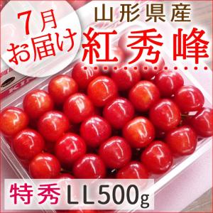 予約 4月上旬発送】 生 花山椒 約 50g 数量限定商品 希少 収穫したてを