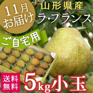 フルーツ ラフランス 山形 5kg 小玉 自宅用 秀L 送料無料｜yamagatamaru