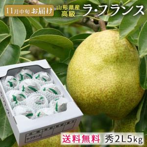 フルーツ ラフランス 5kg 贈答用 山形県産天童市産高級ラフランス秀2L 5kg 化粧箱入れ 約18個 送料無料｜yamagatamaru