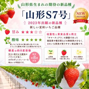 夏いちご 山形S7号 65〜80粒 約500g...の詳細画像1