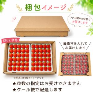 夏いちご 山形S7号 65〜80粒 約500g...の詳細画像2