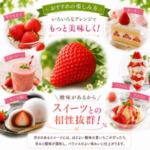 夏いちご 山形S7号 65〜80粒 約500g...の詳細画像4