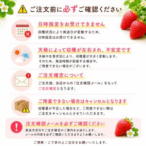 夏いちご 山形S7号 65〜80粒 約500g...の詳細画像5