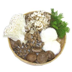 敬老の日 ギフト 2022 最上まいたけ 生きのこ5種セット大