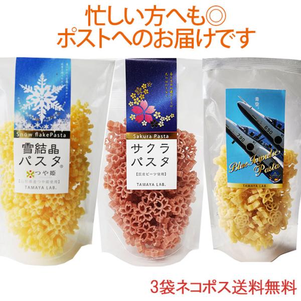 玉谷製麺 ブルーインパルスパスタ サクラパスタ 雪結晶パスタ 100gX3袋セット  飛行機のパスタ...