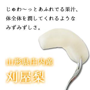 フルーツ 和梨 幸水 3kg 9月上旬発送 山...の詳細画像1