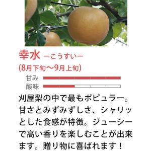 フルーツ 和梨 幸水 3kg 9月上旬発送 山...の詳細画像2