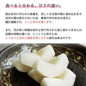フルーツ 和梨 幸水 3kg 9月上旬発送 山...の詳細画像5