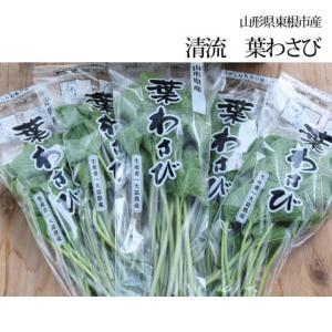 山形県産 葉わさび 90g×10袋 商品  クール便