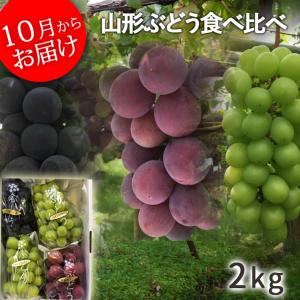 フルーツ ぶどう 詰め合わせ 大粒 約2kg 4-6房 山形県産<BR>10月からお届け 生産者直送のため同梱不可 送料無料｜yamagatamaru