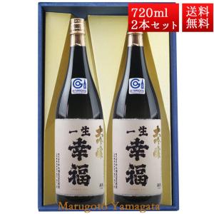 日本酒 飲み比べセット 雅山流 裏・雅山流720ml x 4本 送料無料 新藤