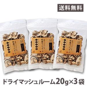 ドライ マッシュルーム スライス 20g×3袋 国産 山形県産