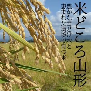 米 新米 2025年度産 令和7年度産 10k...の詳細画像1