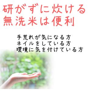 米 新米 2025年度産 令和7年度産 10k...の詳細画像3