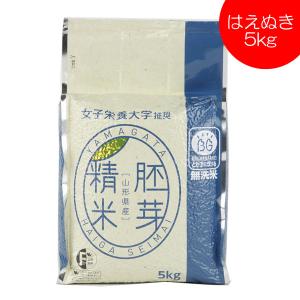 はえぬき 米 2025年度産 令和7年度産 米 無洗米 20kg 胚芽精米 5kg x4