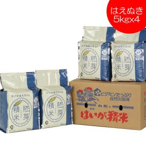 備蓄米 約5年 長期 保存 はえぬき 2kg×5袋 無洗米 令和7年産 保存食