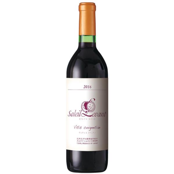赤ワイン 月山ワイン ソレイユルバン ヴィティスコワニティー 辛口 720ml 月山ワイン山ぶどう研...