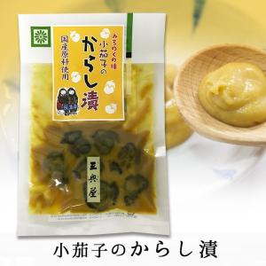 ソマチッド 100g 石タイプ 古代ソマチッド SOMACHI ソマチ 奇跡の鉱石