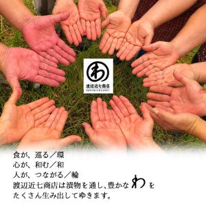 漬物 さくらんぼ漬 70g 渡辺近七商店 山形...の詳細画像3