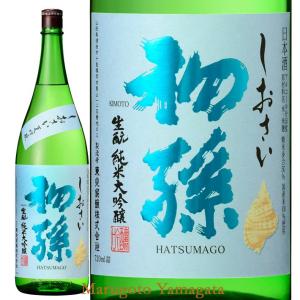 日本酒 初孫 純米大吟醸 しおさい 1800ml 山形 東北銘醸 酒田市 お酒